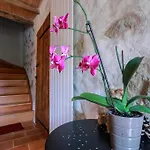 Souleilla De La Nine