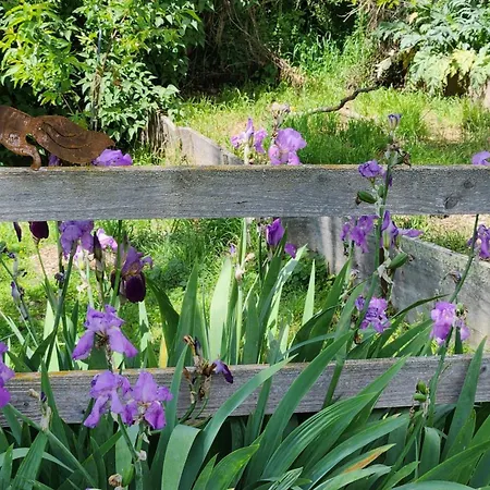 Souleilla De La Nine Canens