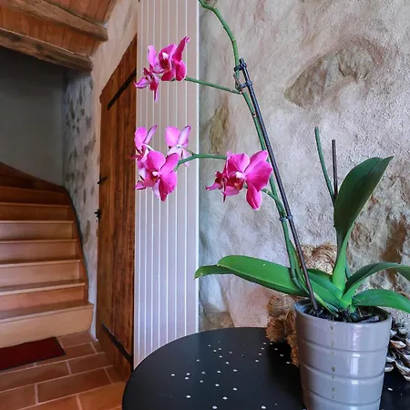 Souleilla De La Nine