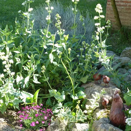 Souleilla De La Nine Prázdninový dům *