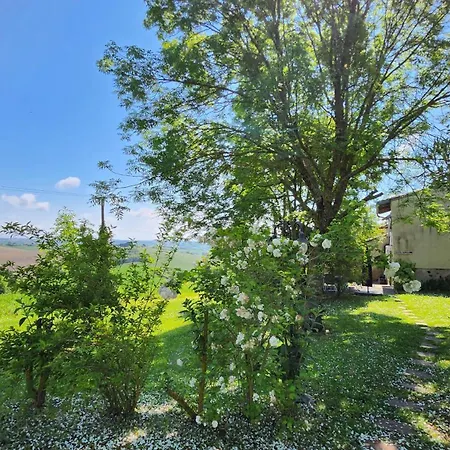 Souleilla De La Nine * Canens