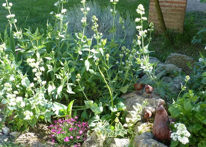 Souleilla De La Nine Feriehus *