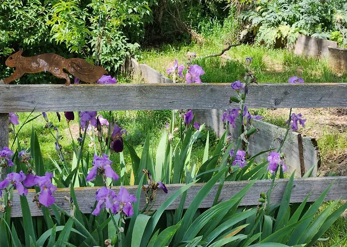 Souleilla De La Nine Canens